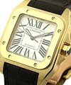 Cartier Santos 100 - Small Size W20112Y1