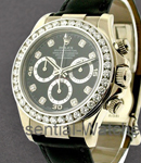 22370_SM_182.jpg