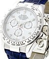 Rolex White Gold DAYTONA on Strap 116519 116519